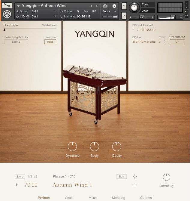 Native Instruments Yangqin